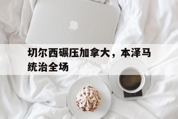 开云体育app-切尔西碾压加拿大，本泽马统治全场的简单介绍