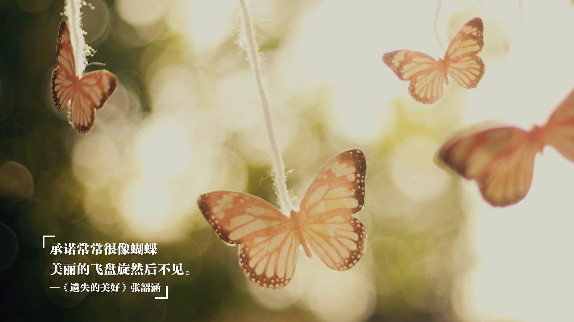 跨界风暴,当独行侠在玫瑰城扬起粉尘,拉文于英超赛场奏响接管者狂想曲