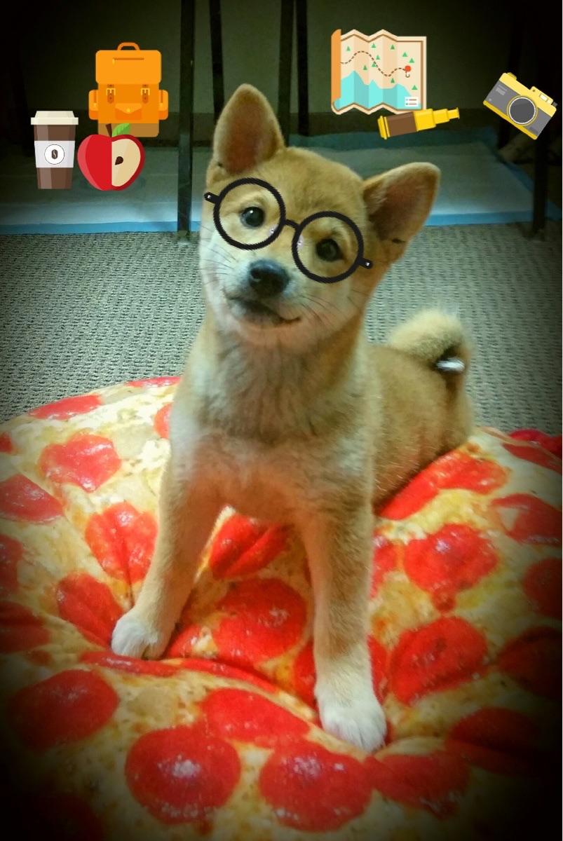 开云体育中国-本泽马的魔术与日本的铁壁，当个人英雄主义遭遇集体主义美学