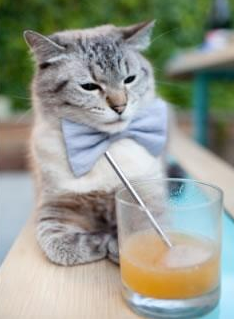 开云体育APP下载-詹姆斯生死战独舞难救主，快船西决淘汰湖人晋级