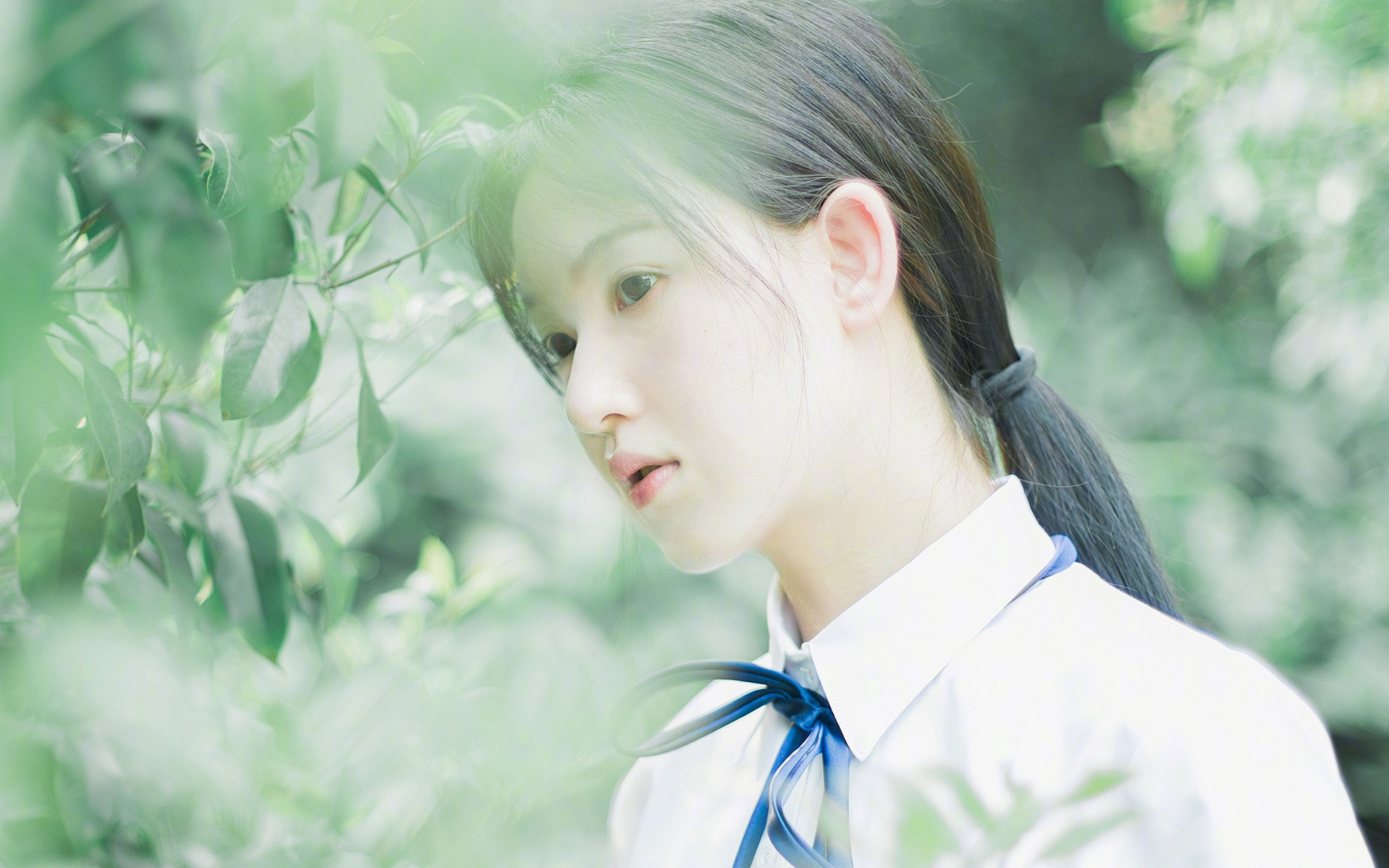 从美加墨到天山脚下，胜利是写给拼搏者的同一首诗