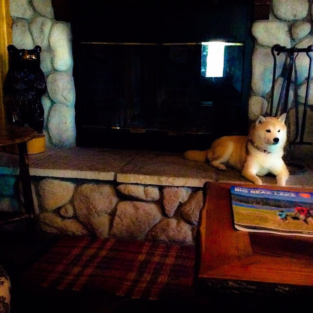 战术碾压与个人秀,雷恩全方位压制卡塔尔,久保建英荣膺MVP毫无悬念