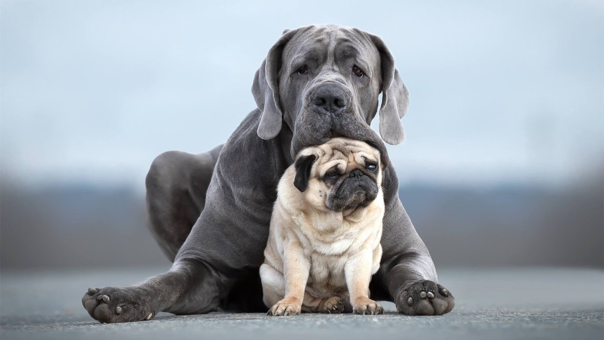 开云体育下载-英超争冠焦点战，马刺一波带走辽宁队的跨界体育哲学