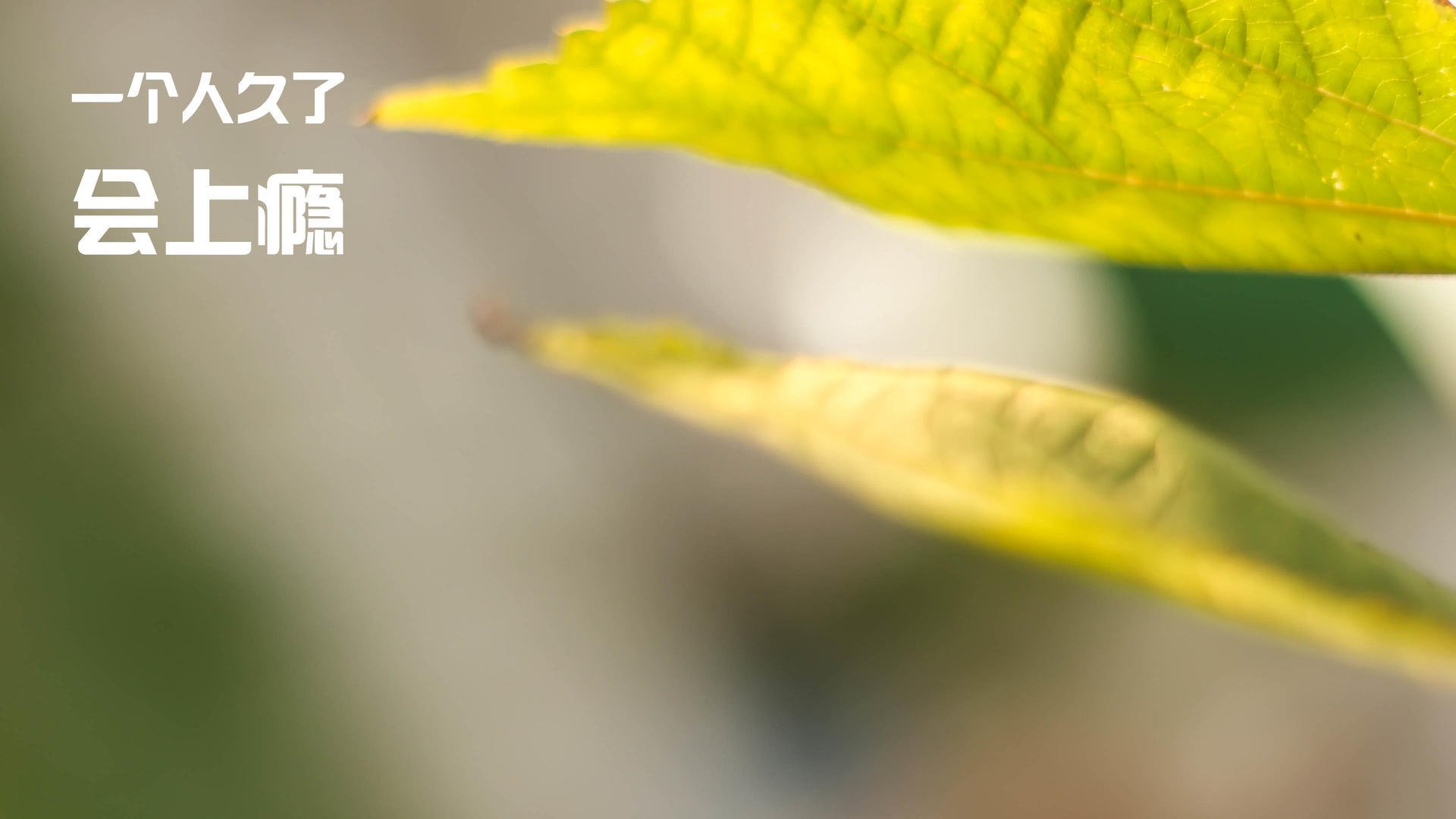 开云体育官网-悬崖边的一剑封喉，劳塔罗如何用八分钟埋葬悬念