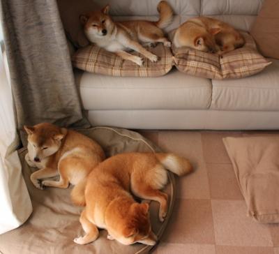 开云体育平台APP-王座之影，德甲争冠夜，奥亚尔萨瓦尔的光荣与孤寂