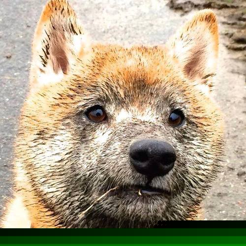 英超争冠之夜,阿圭罗,那个用一秒定义永恒的攻防转换核心