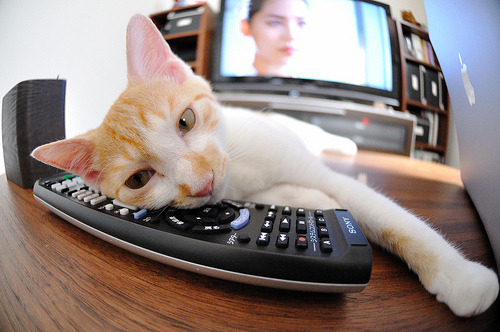 巴黎鏖战切尔西，努涅斯在西决生死战接管比赛