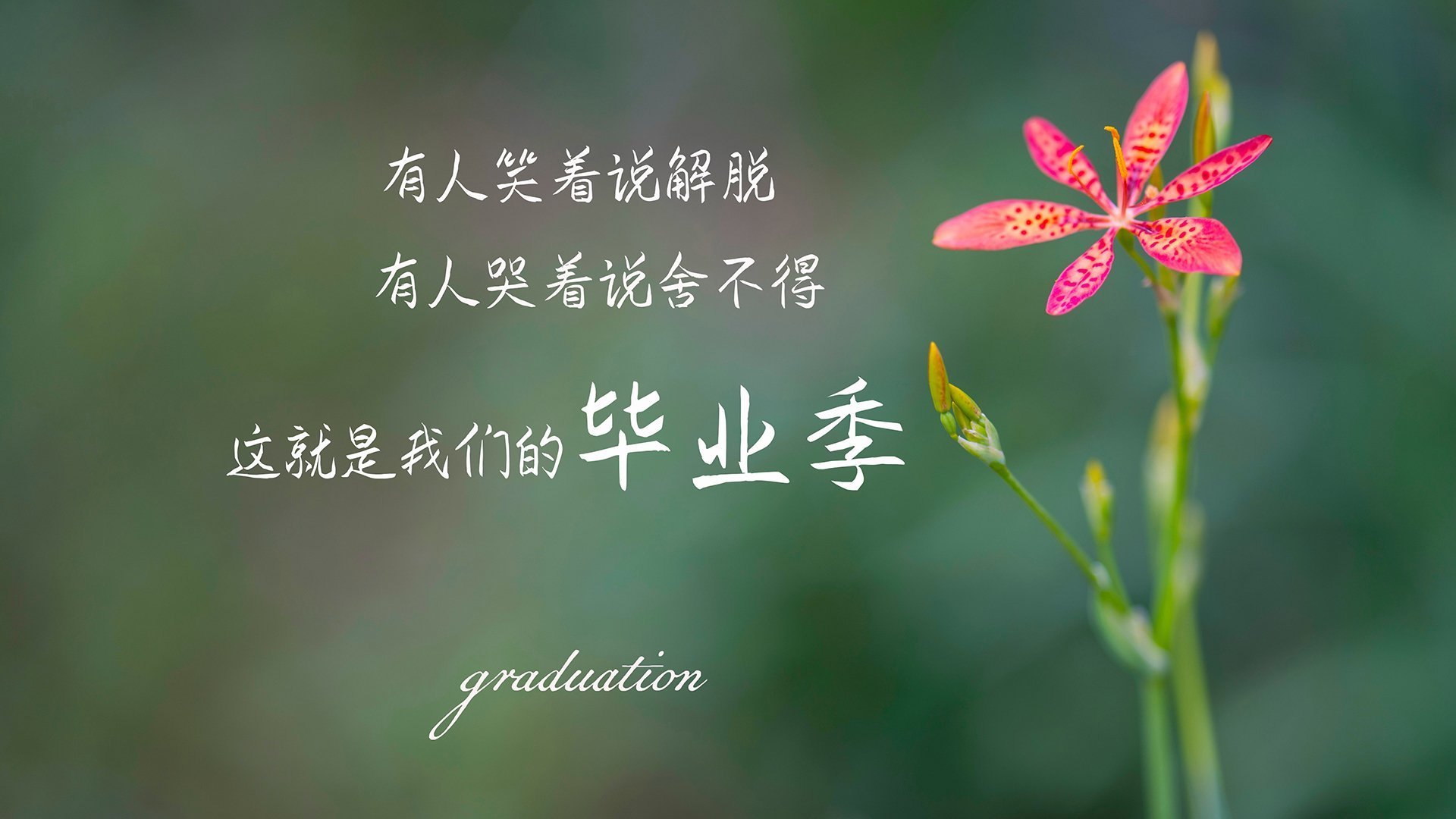 克莱登顶封神，广厦队全方位碾压上海队