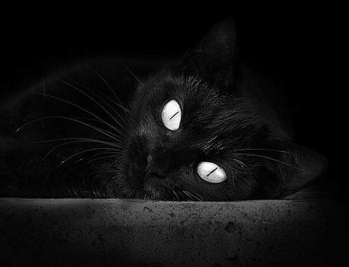 防守艺术，当拉齐奥的铁链锁住哥斯达黎加的利刃