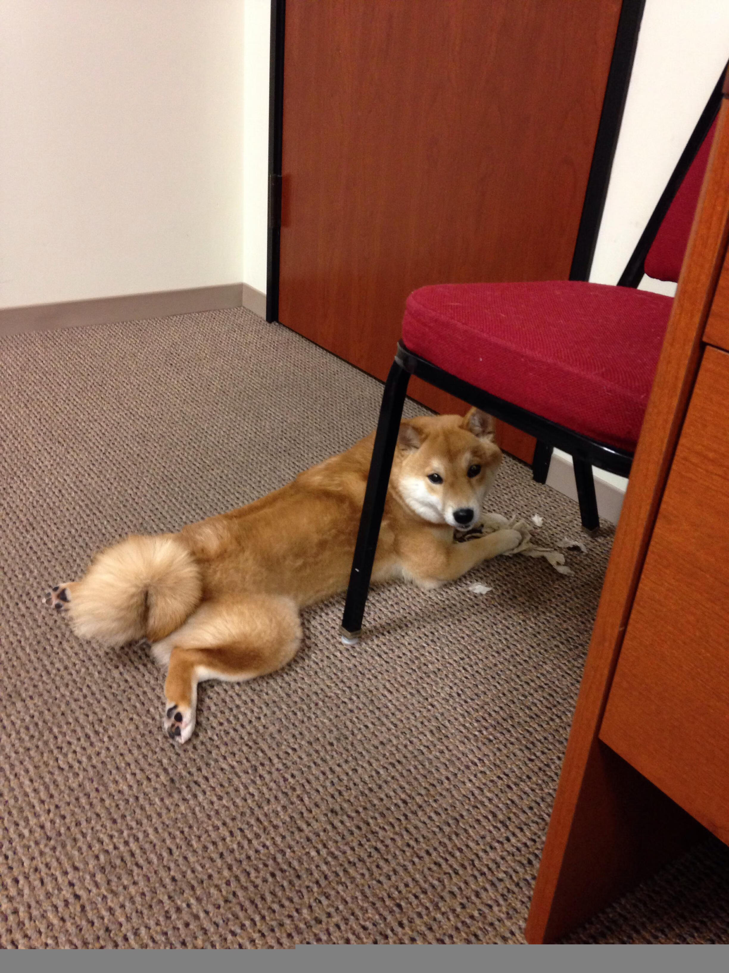 疾驰之夜，F1新赛季揭幕战的银箭与贝恩的里程碑