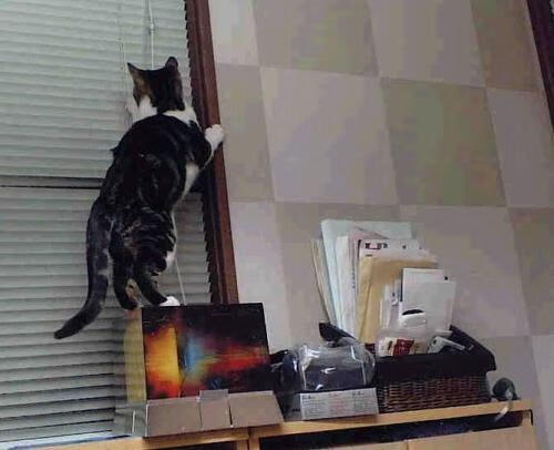 冰与火之歌，爱德华兹绝杀背后，广东队战术铁幕如何让老鹰折翅