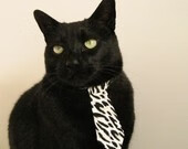 单节风暴与孤星破晓，当沉寂的禁区响起惊雷