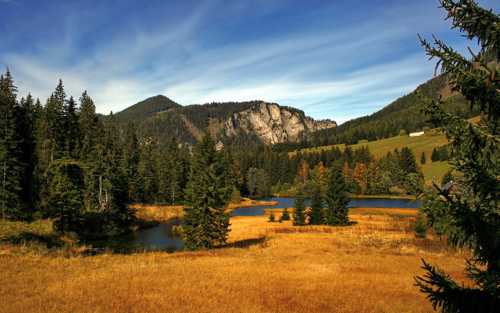 冰与火之歌，厄德高利刃出鞘，加拿大掀翻桑巴巨人