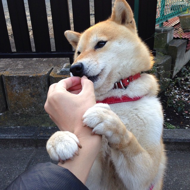 在最高压力下升华，塔图姆于抢七夜的赛场统治力