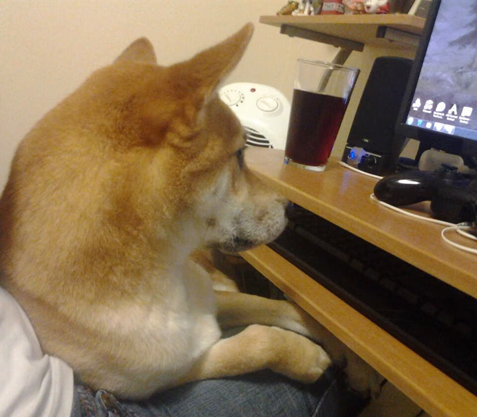 卡塔尔逆转喀麦隆创奇迹，孙兴慜持续杀伤显锋芒